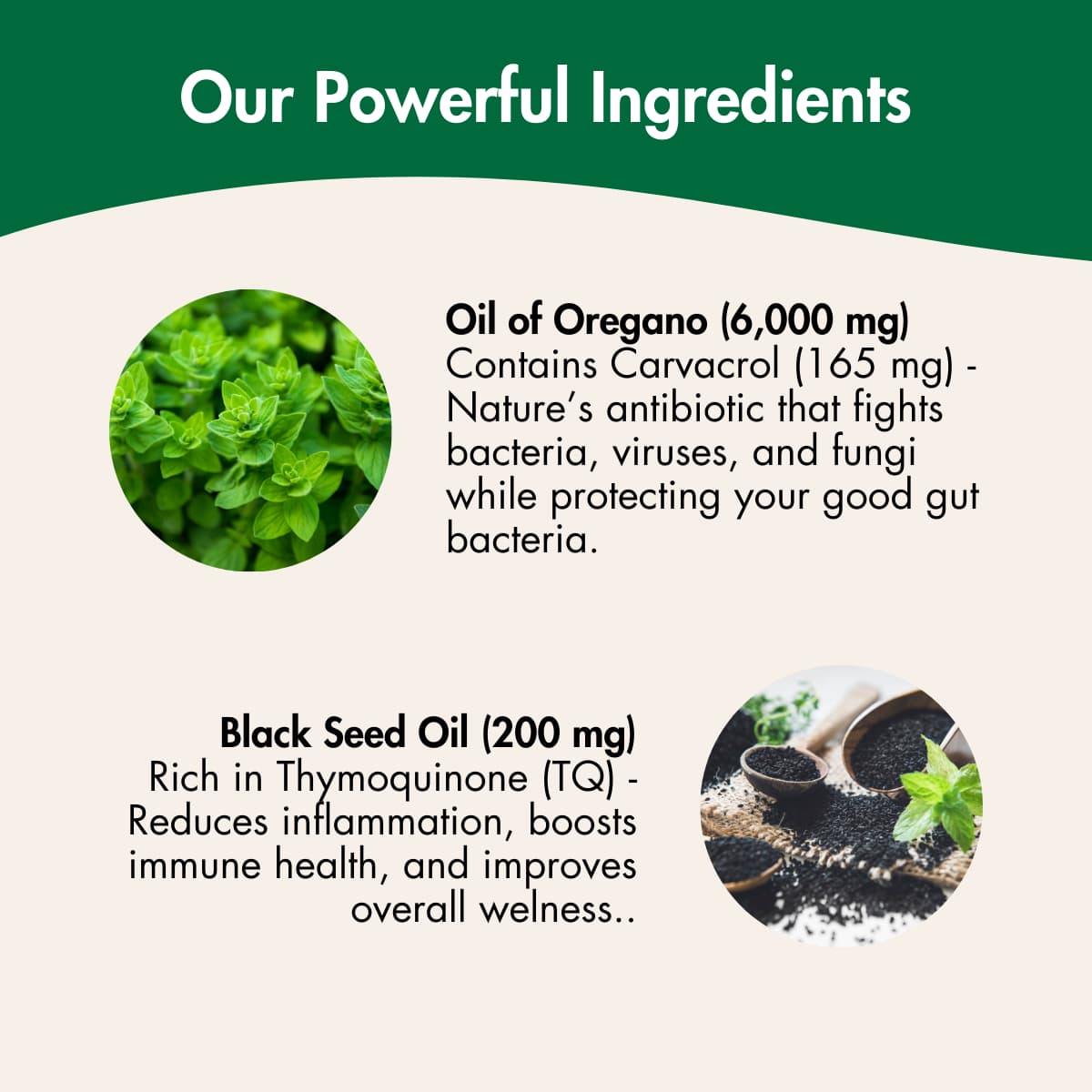 Oregano Oil with Black Seed Oil - SheHeally